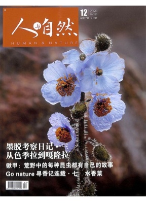 人与自然