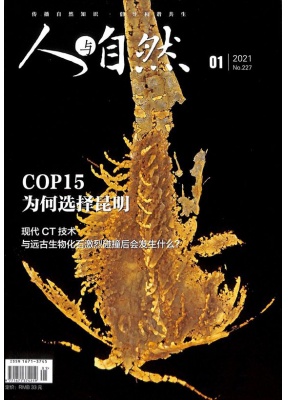 人与自然
