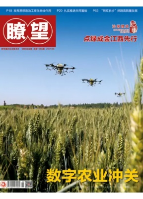 瞭望新闻周刊