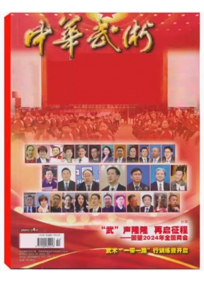 中华武术