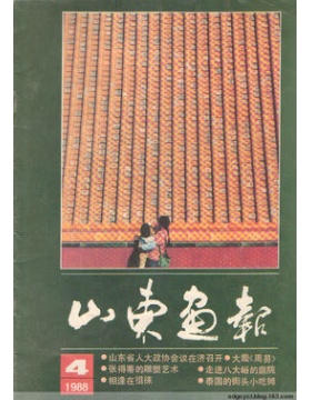 山东画报