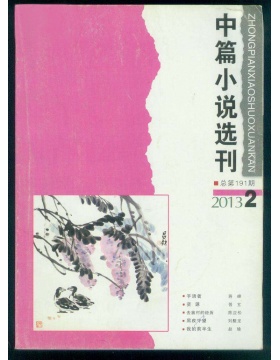 中篇小说选刊