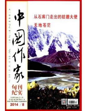中国作家纪实版