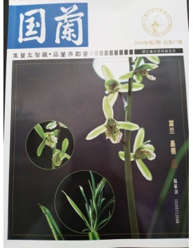 国兰杂志