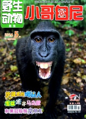 小哥白尼野生动物