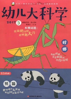 东方娃娃幼儿大科学