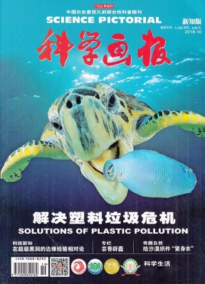 科学画报