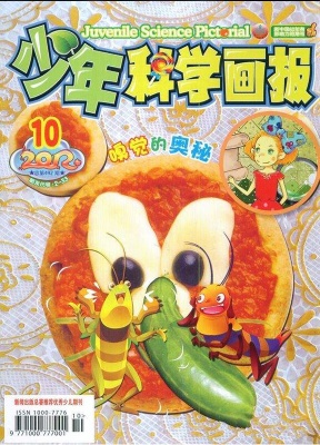 少年科学画报