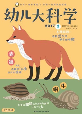 东方娃娃幼儿大科学