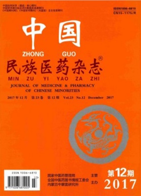 中国民族医药杂志汉