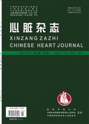 心脏杂志