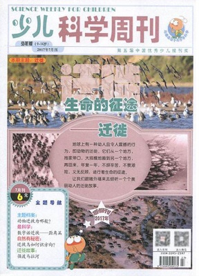 少儿科学周刊少年版
