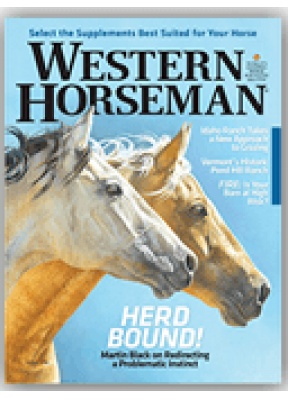  Western Horseman