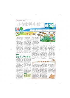 小学生拼音报--高年级胶版纸读写