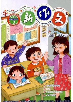 新作文小学低年级版