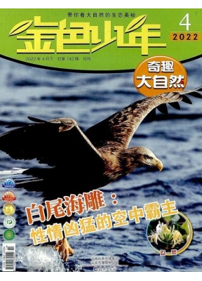 金色少年奇趣大自然（原金色少年科普版）