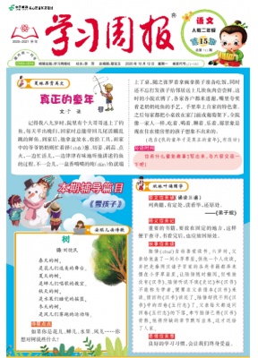 学习周报.语文.人教二年级