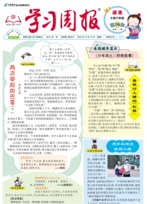 学习周报.语文.人教六年级