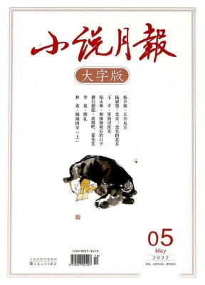 小说月报大字版