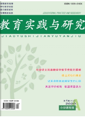 教育实践与研究小学课程版