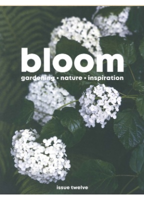 Bloom