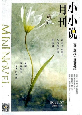 小小说月刊