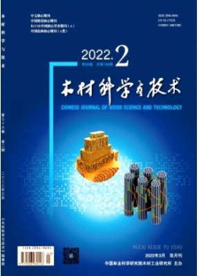 木材科学与技术