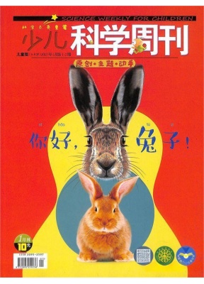 少儿科学周刊儿童版