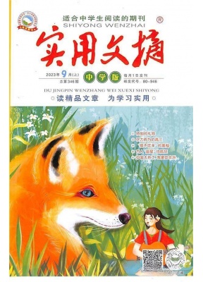实用文摘中学版